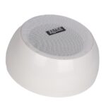 ALIHA 105G Surface Mount Ceiling Speaker 30W