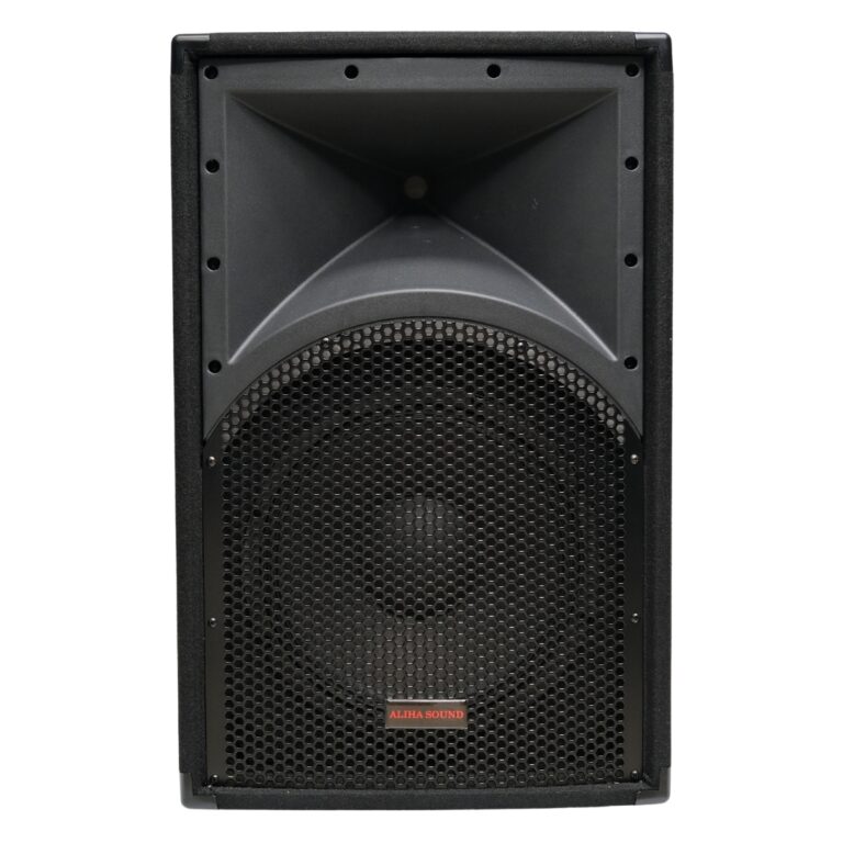 ALIHA SOUND CQ12 Wooden Passive Speaker 12 Inch