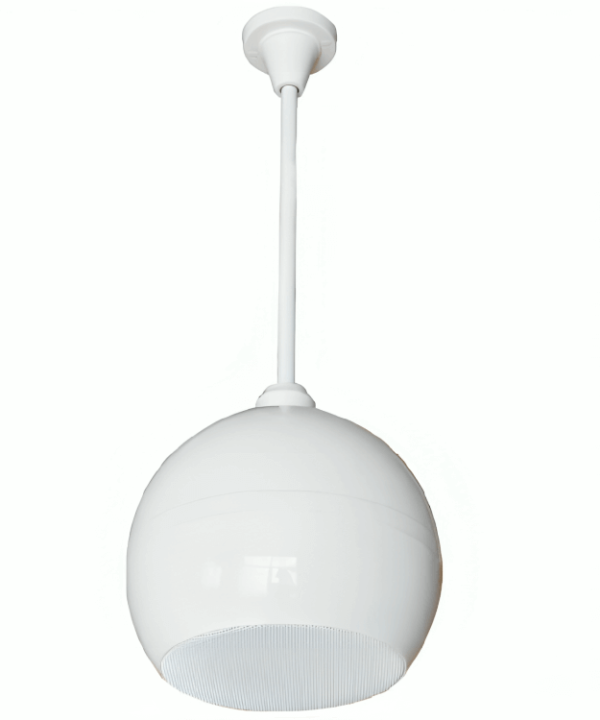 TADS DS-646 Ceiling Hanging Speaker