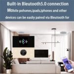 Wall Mounted Home Audio Amplifier