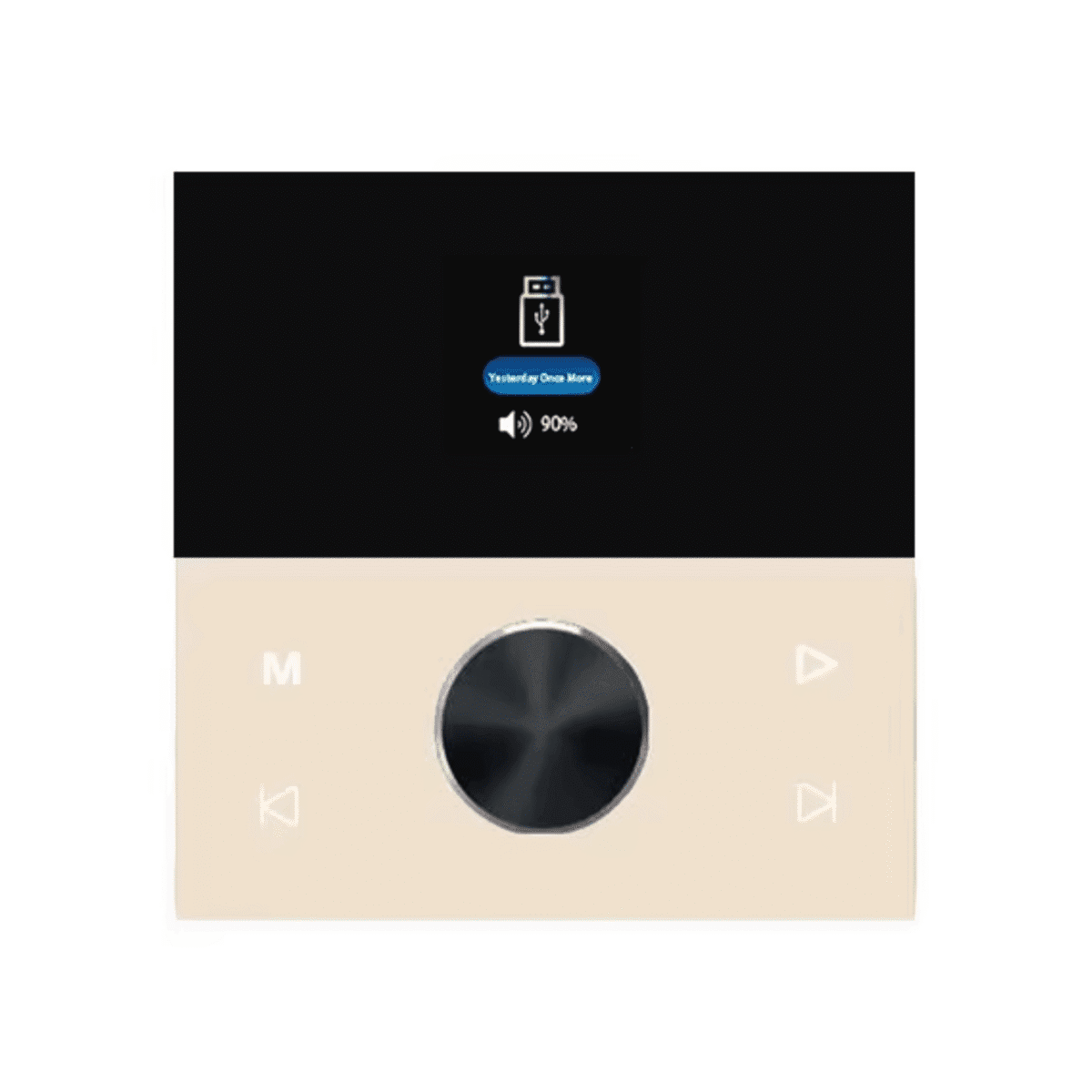 Wall Mounted Home Audio Amplifier
