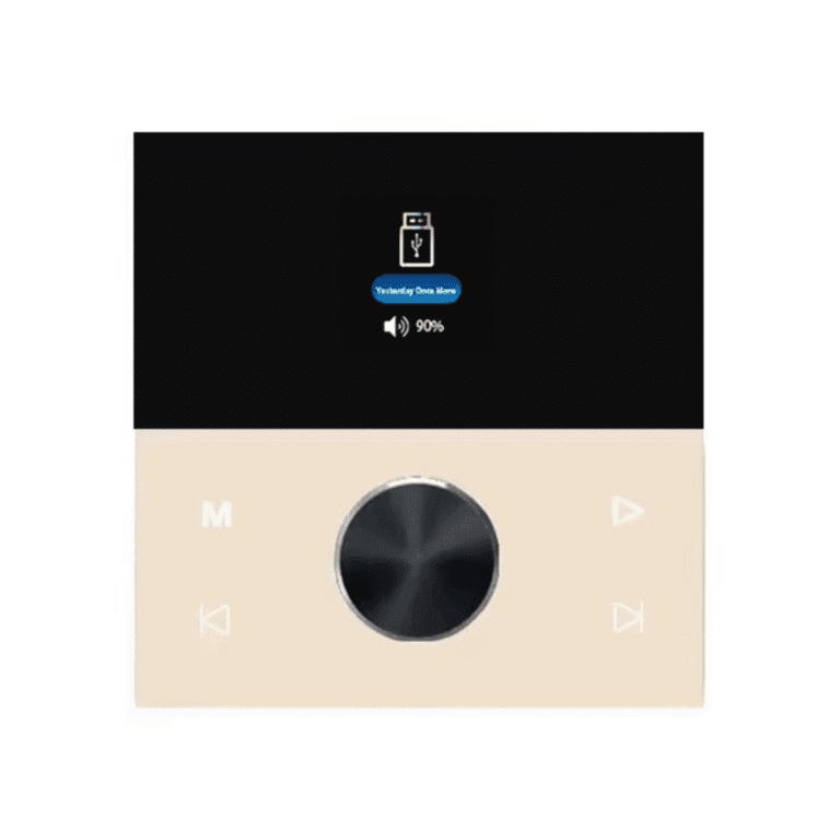 Wall Mounted Home Audio Amplifier